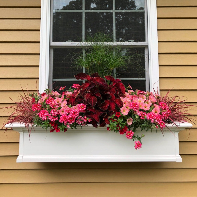 Yorkshire 4′ Window Box – White