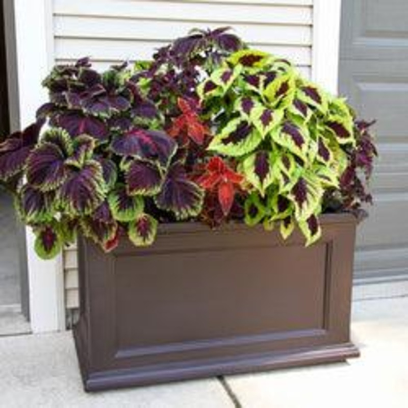 Fairfield 20×36 Planter – Espresso