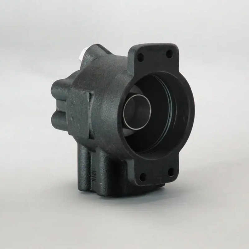 P574254 D/S, Head Assembly, Hydraulic | Donaldson